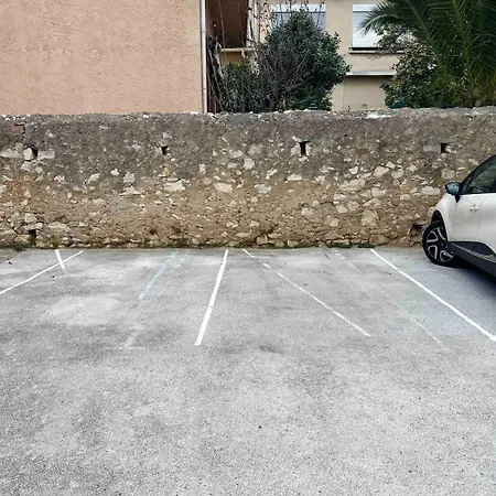 Joy - 3 Min Du Port De